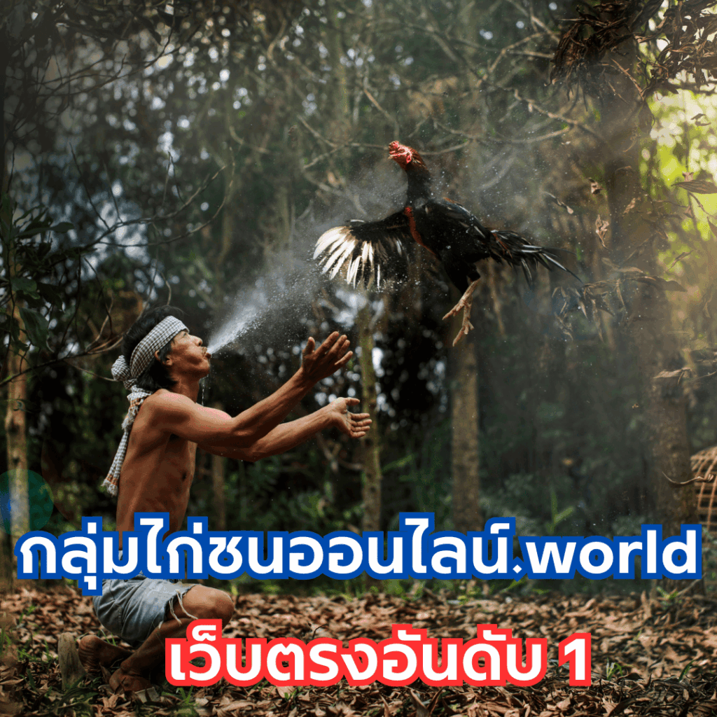 กลุ่มไก่ชนออนไลน์.world